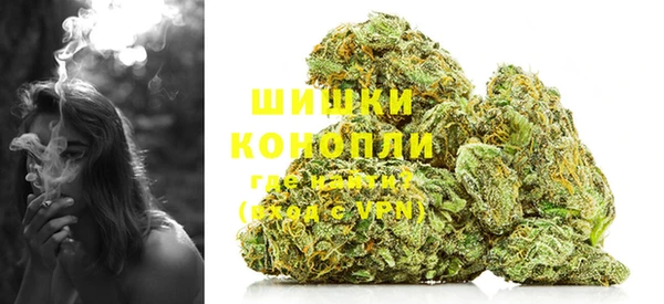 ПСИЛОЦИБИНОВЫЕ ГРИБЫ Балабаново