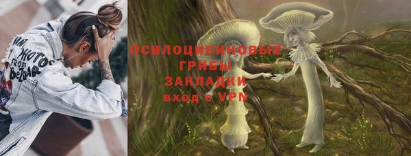 мескалин Няндома