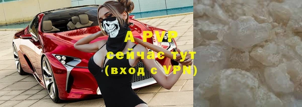 ПСИЛОЦИБИНОВЫЕ ГРИБЫ Балабаново